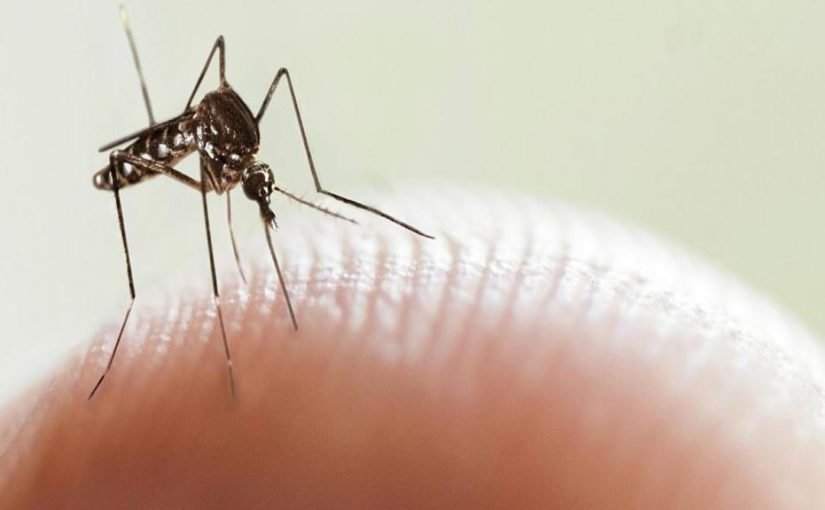 CABA registró más de 5.900 casos de dengue
